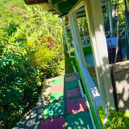 Le Petit Paradis Roseau Extérieur photo