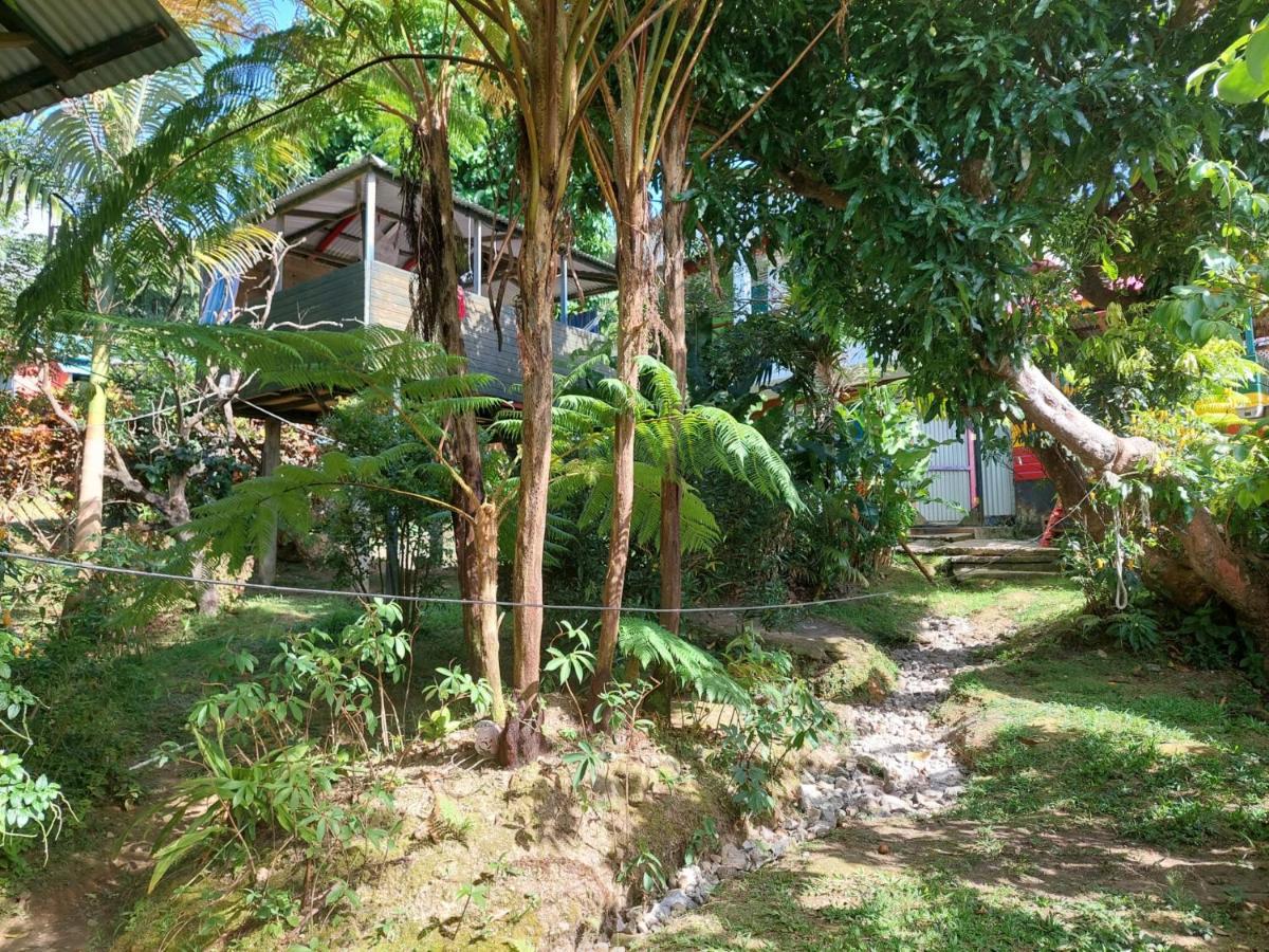 Le Petit Paradis Roseau Extérieur photo
