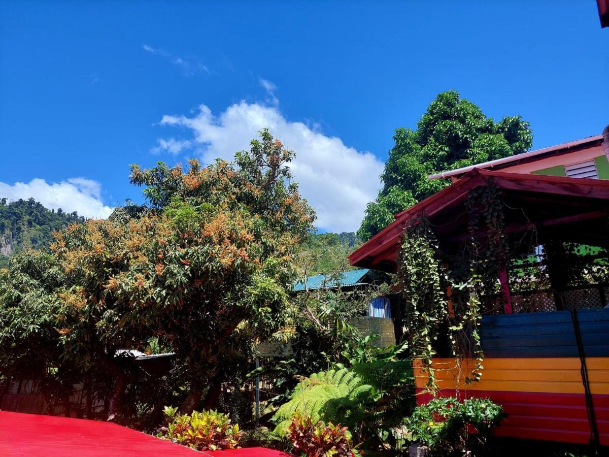 Le Petit Paradis Roseau Extérieur photo