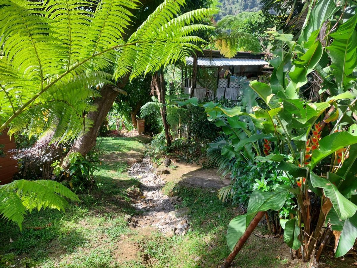 Le Petit Paradis Roseau Extérieur photo