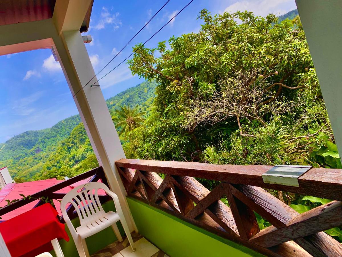Le Petit Paradis Roseau Extérieur photo