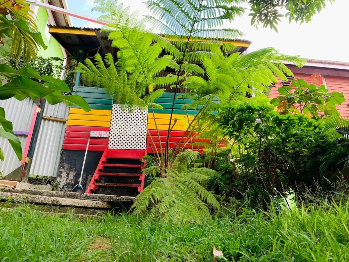 Le Petit Paradis Roseau Extérieur photo