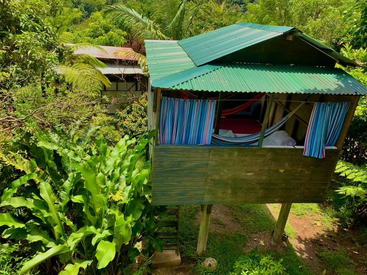 Le Petit Paradis Roseau Extérieur photo