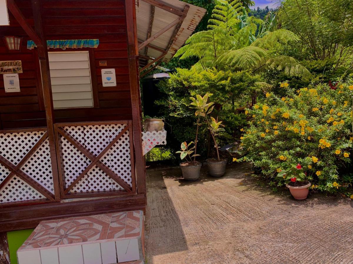 Le Petit Paradis Roseau Extérieur photo