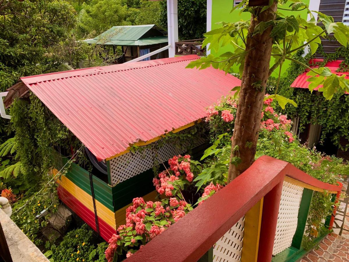 Le Petit Paradis Roseau Extérieur photo