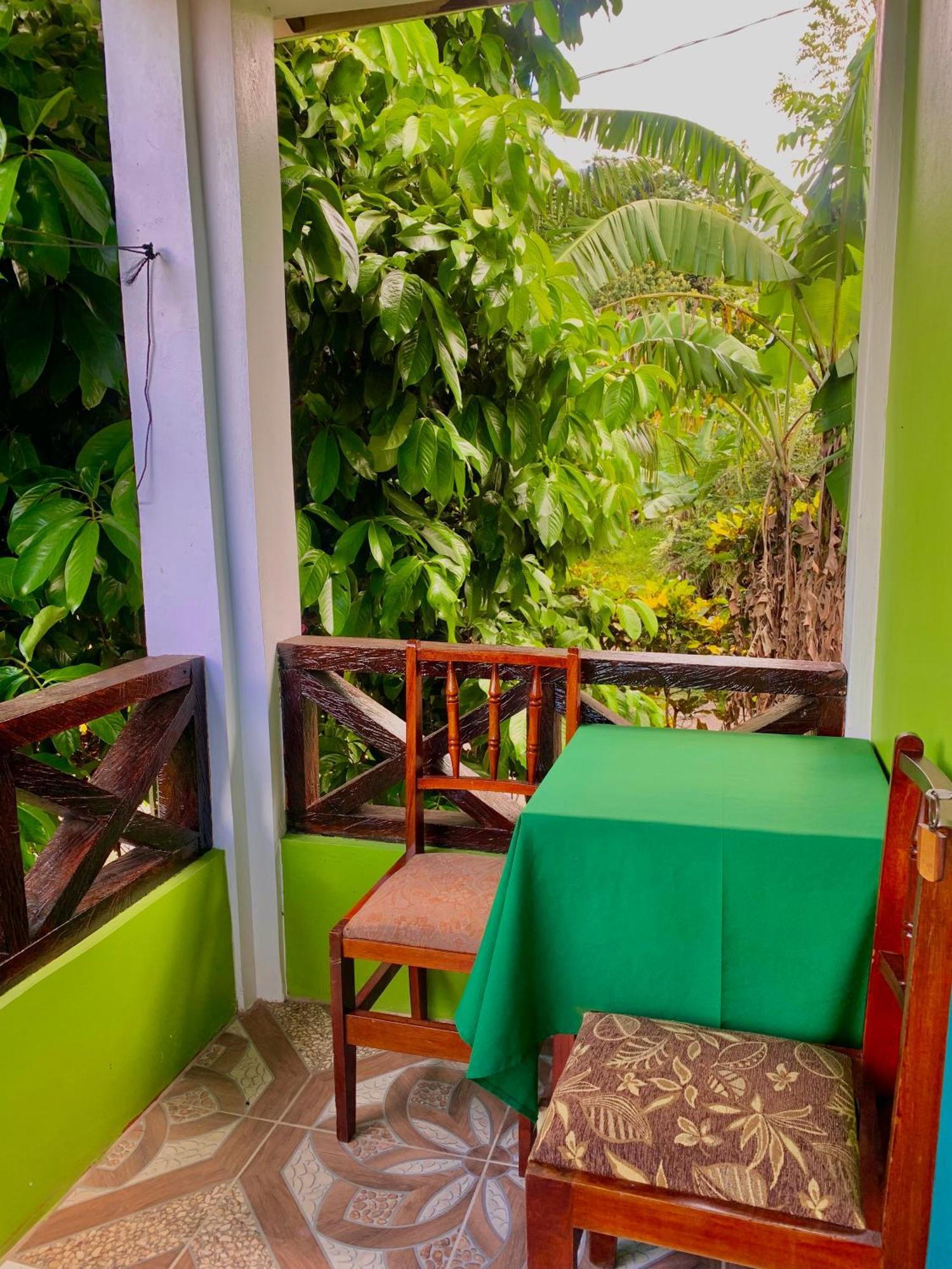 Le Petit Paradis Roseau Extérieur photo