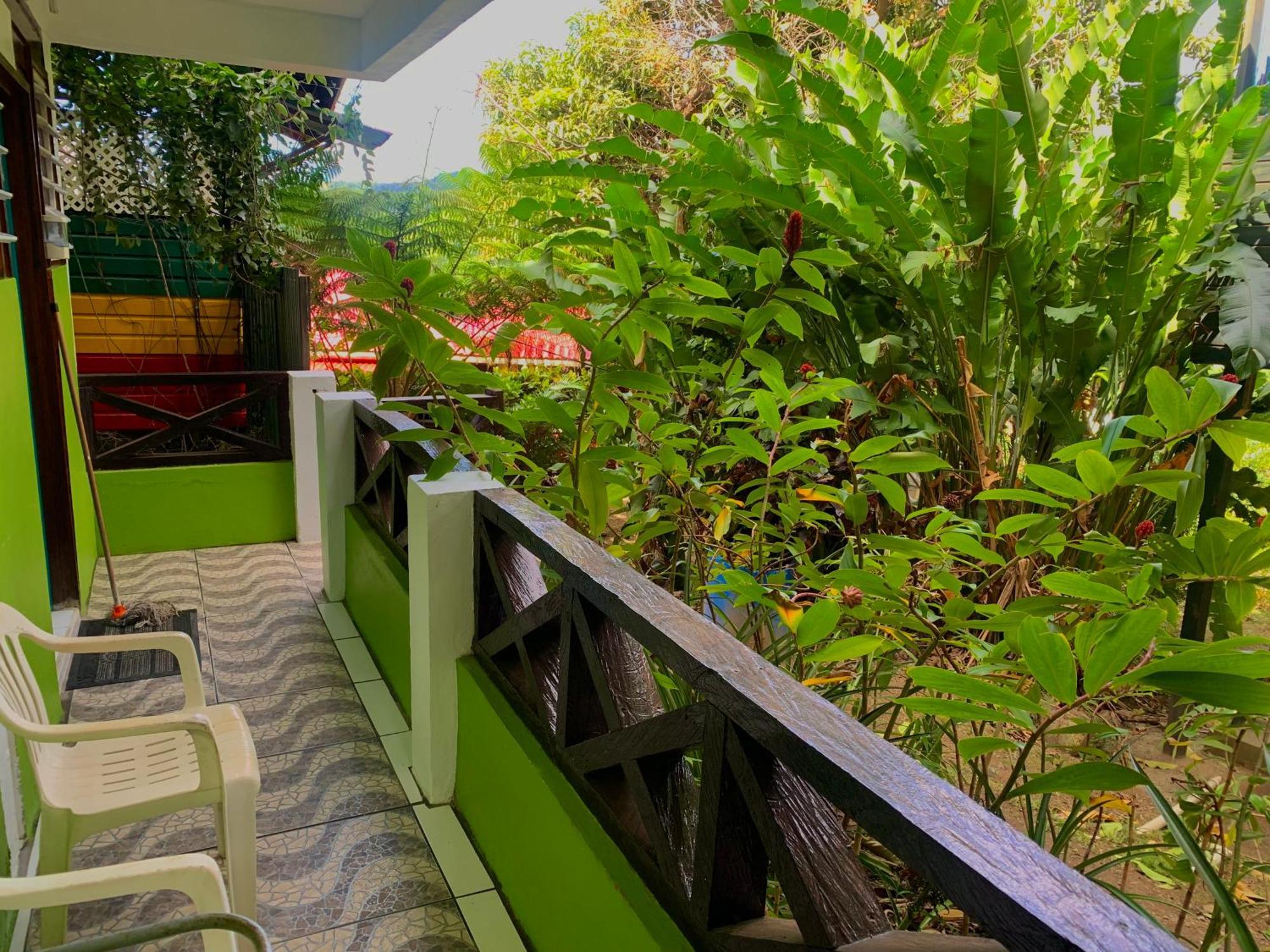 Le Petit Paradis Roseau Extérieur photo