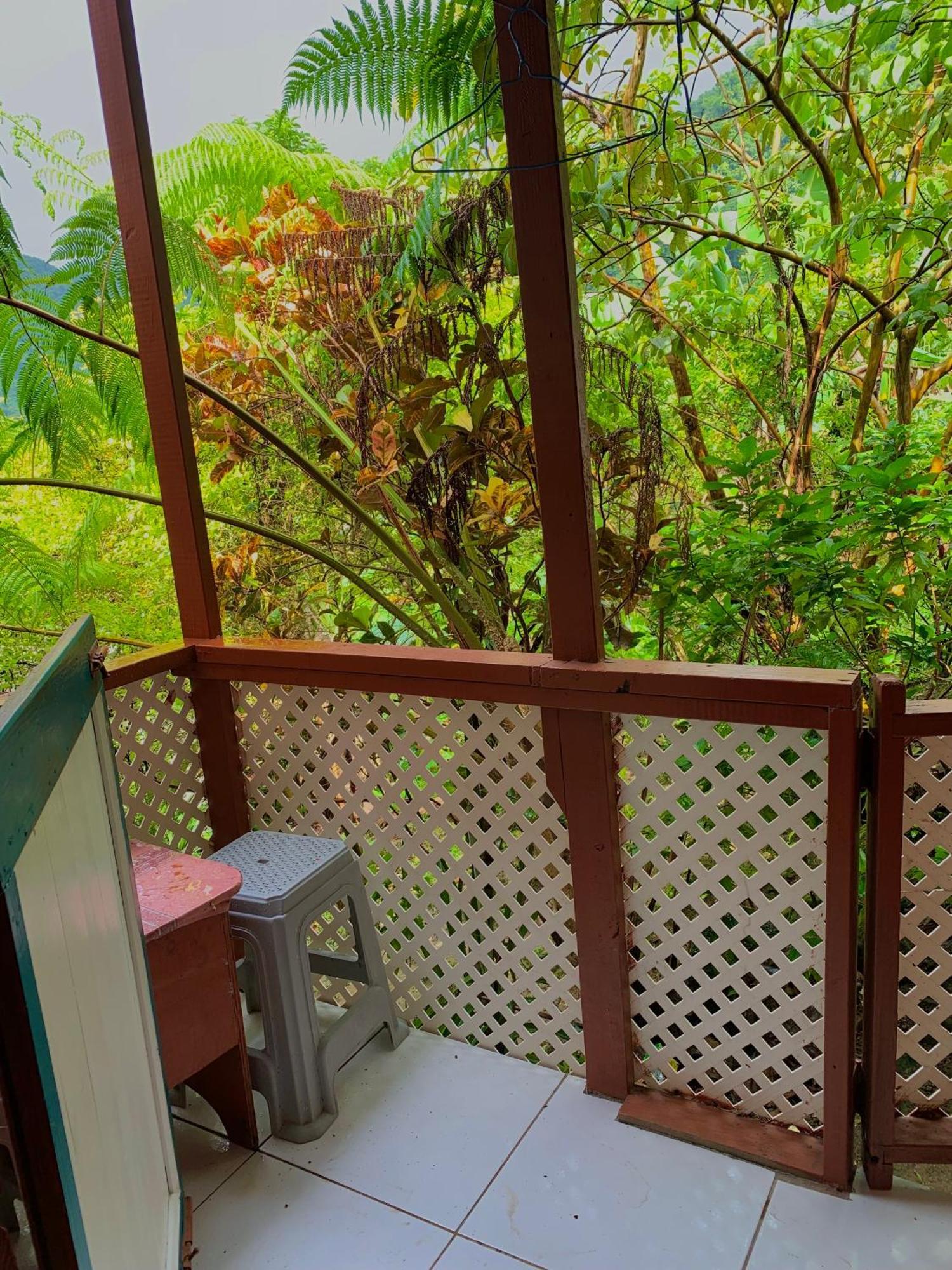 Le Petit Paradis Roseau Extérieur photo