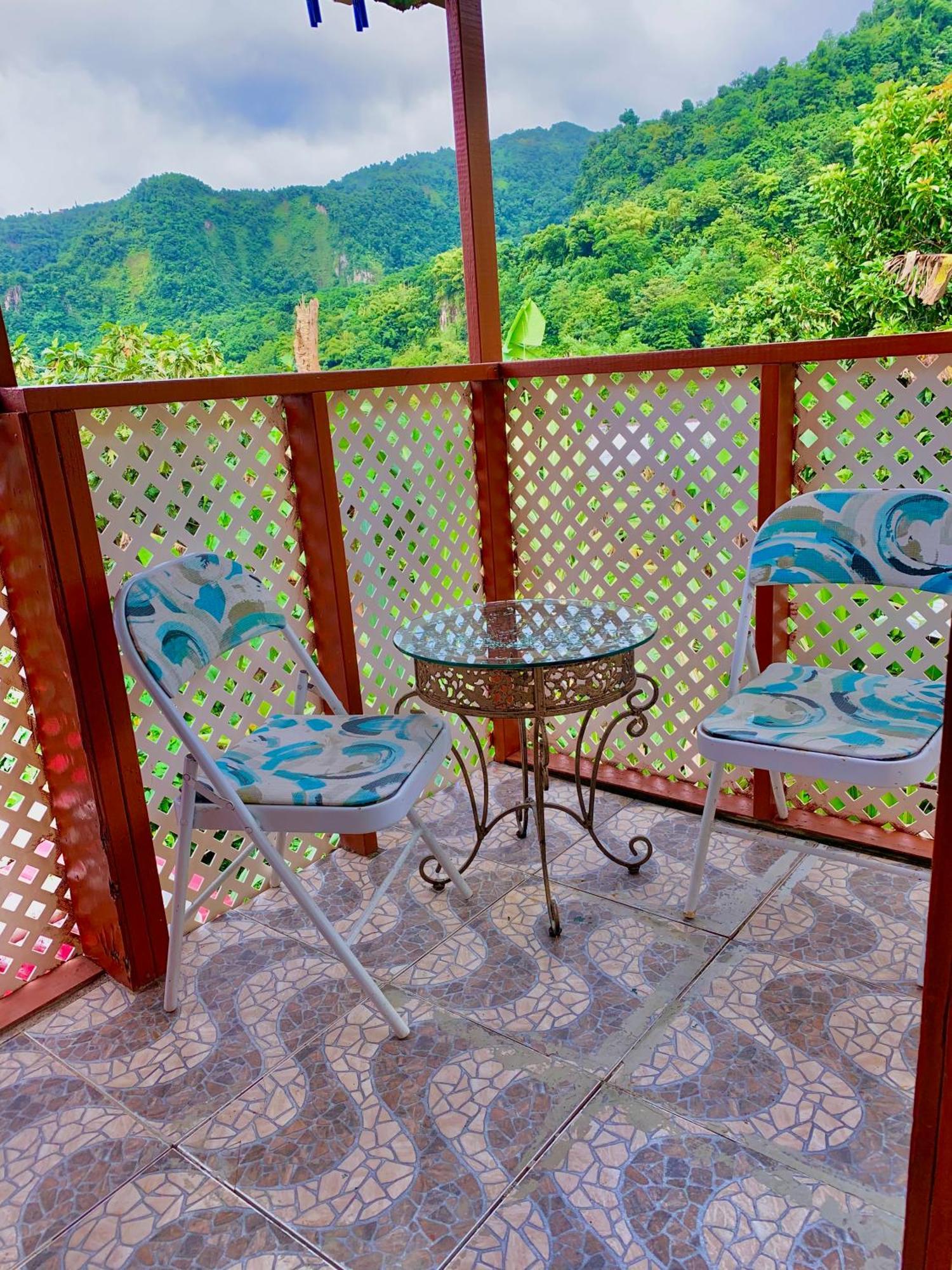 Le Petit Paradis Roseau Extérieur photo