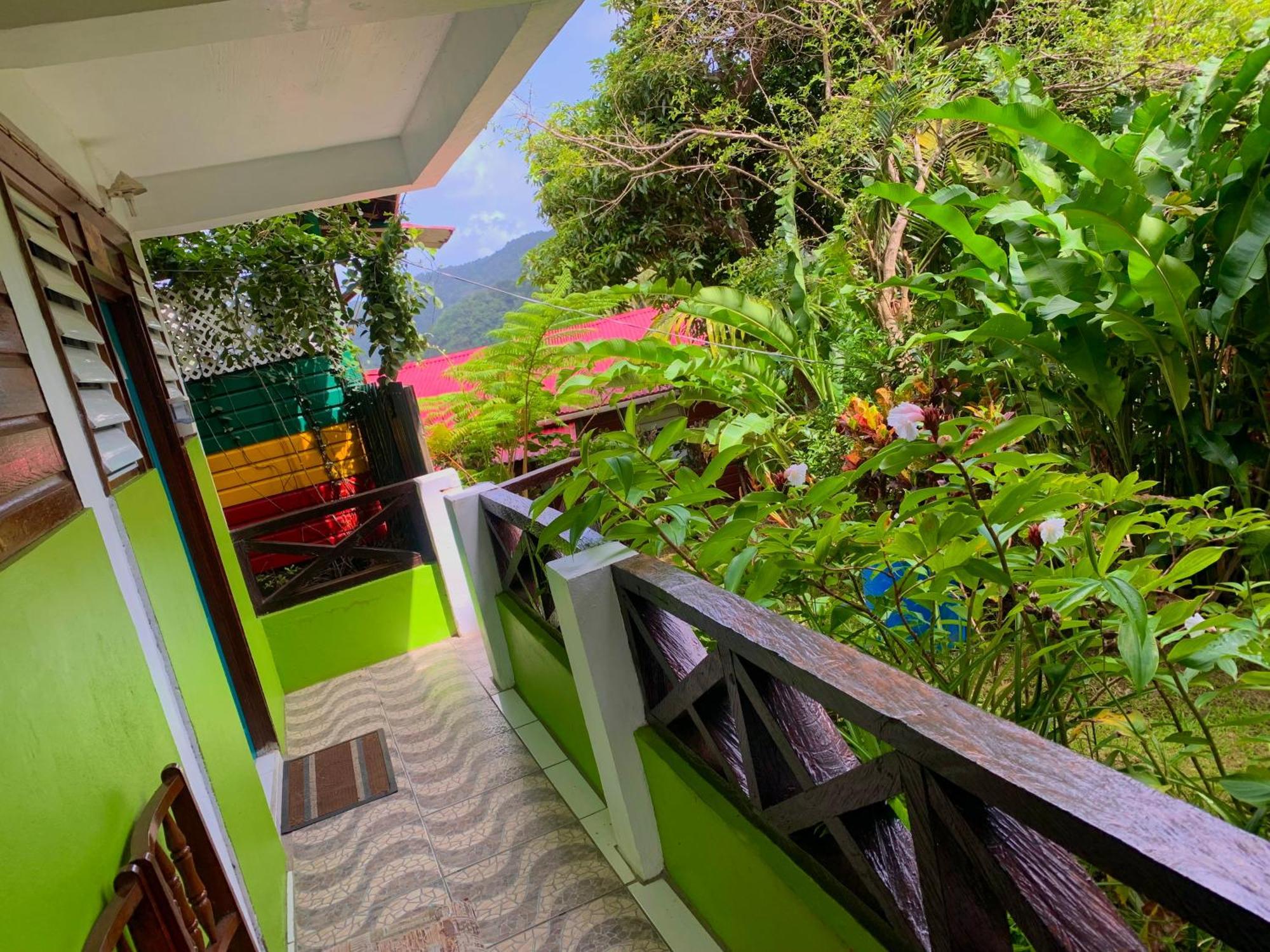 Le Petit Paradis Roseau Extérieur photo