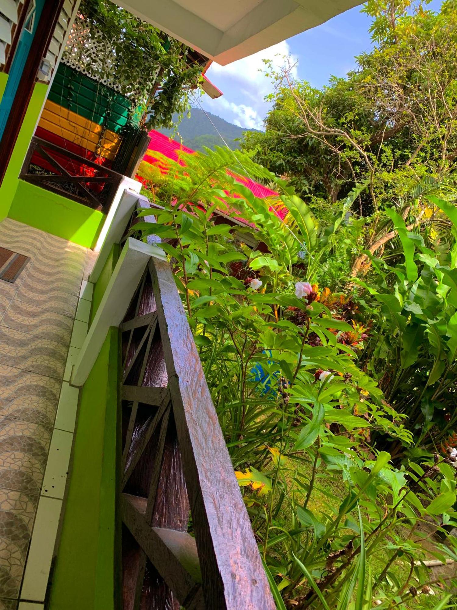 Le Petit Paradis Roseau Extérieur photo