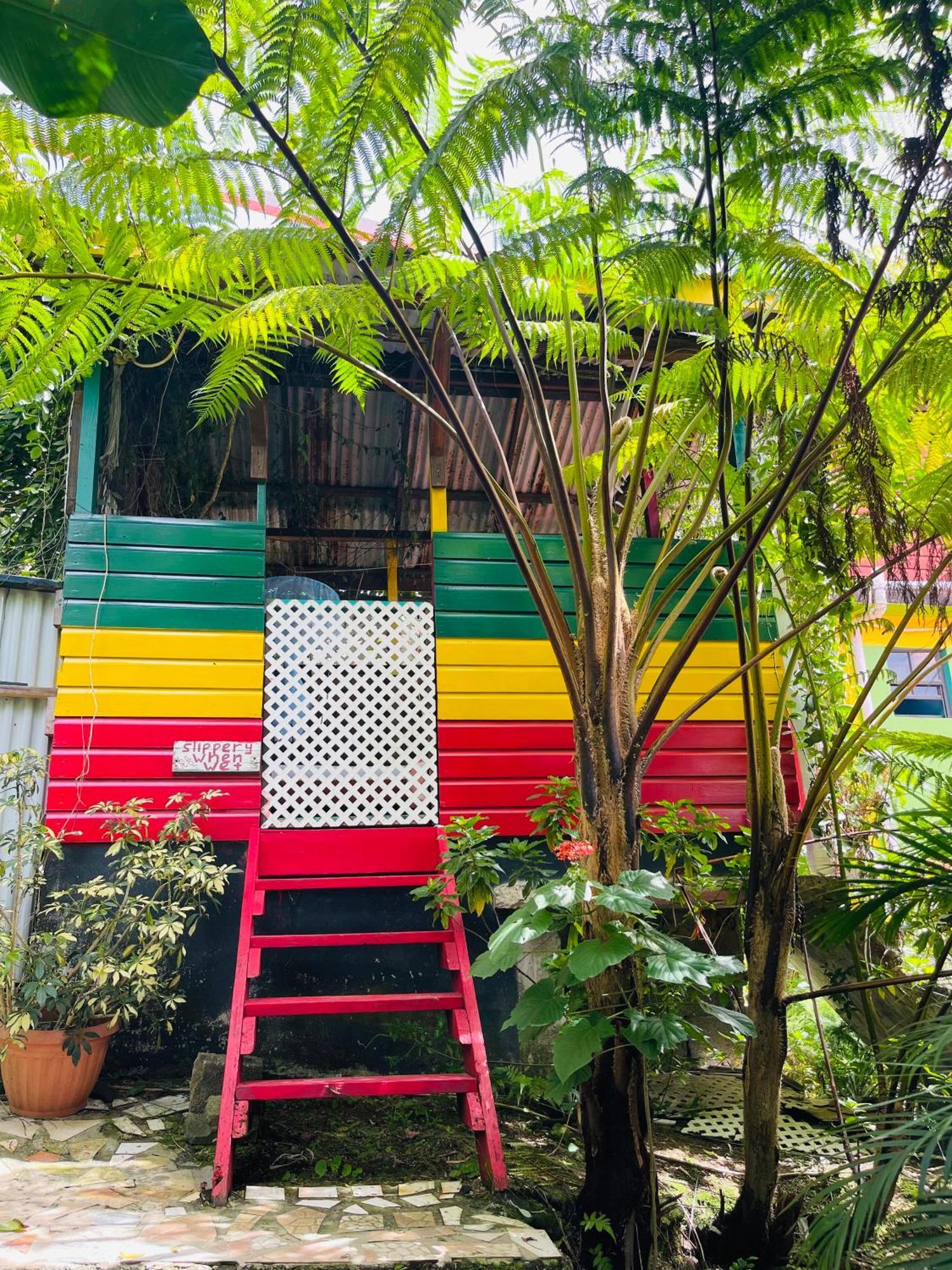 Le Petit Paradis Roseau Extérieur photo