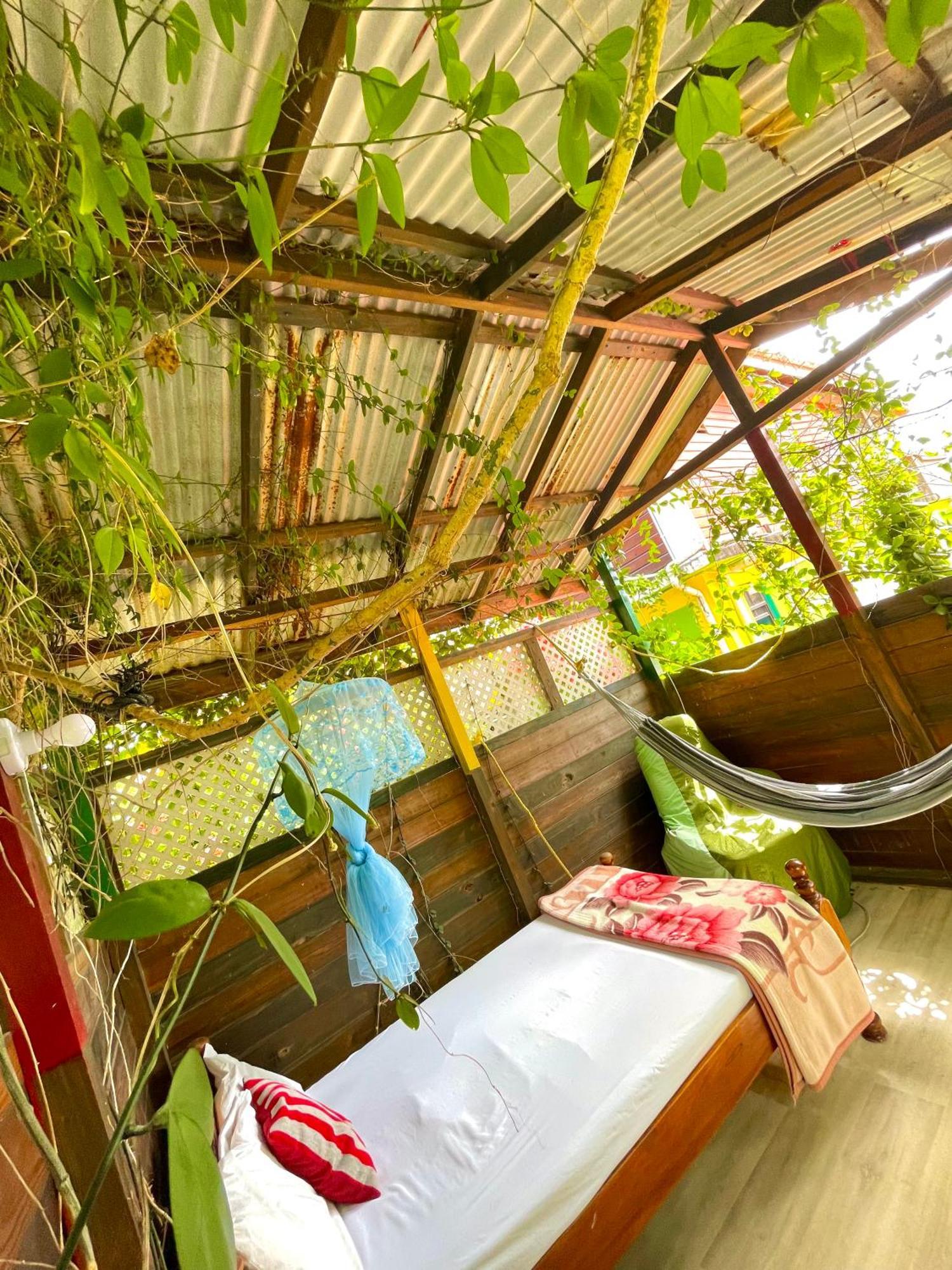 Le Petit Paradis Roseau Extérieur photo