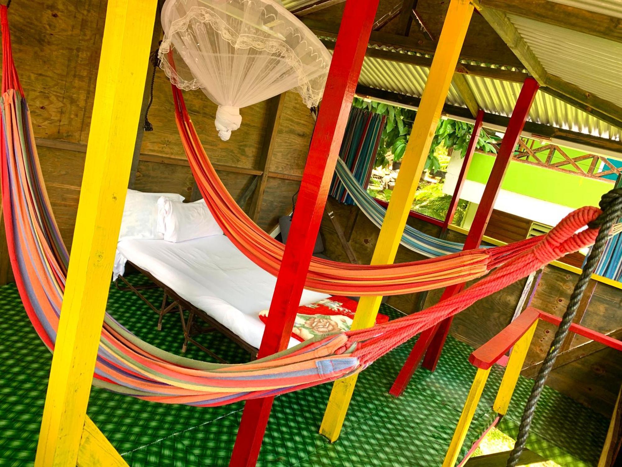 Le Petit Paradis Roseau Extérieur photo