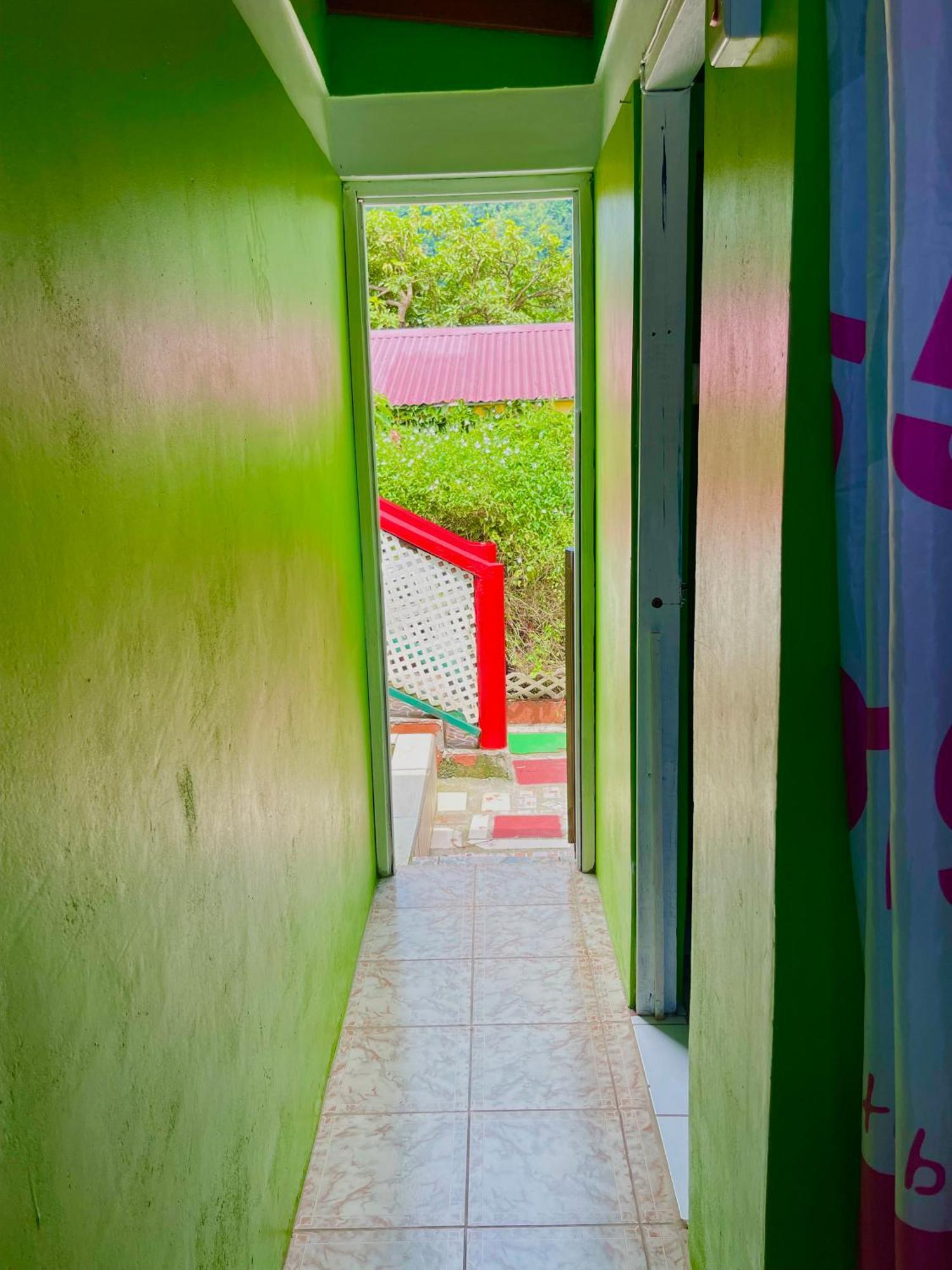 Le Petit Paradis Roseau Extérieur photo