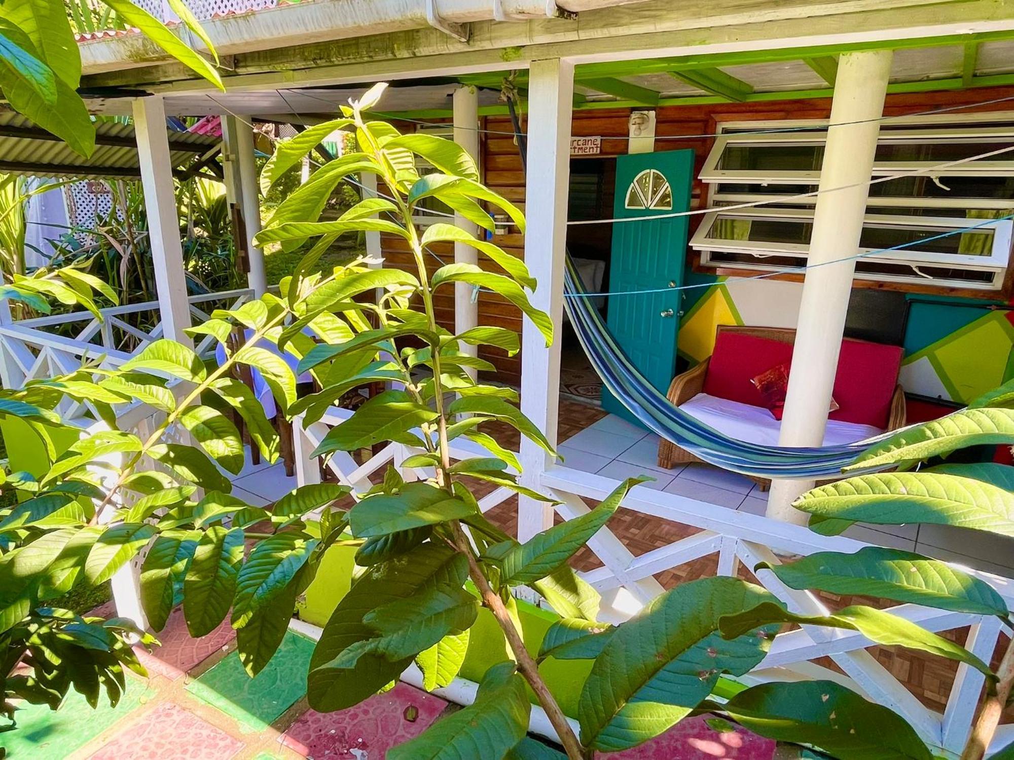 Le Petit Paradis Roseau Extérieur photo