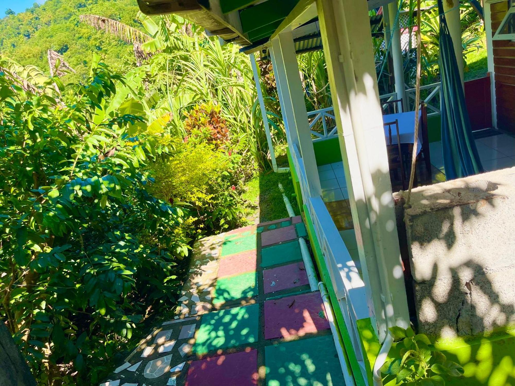 Le Petit Paradis Roseau Extérieur photo