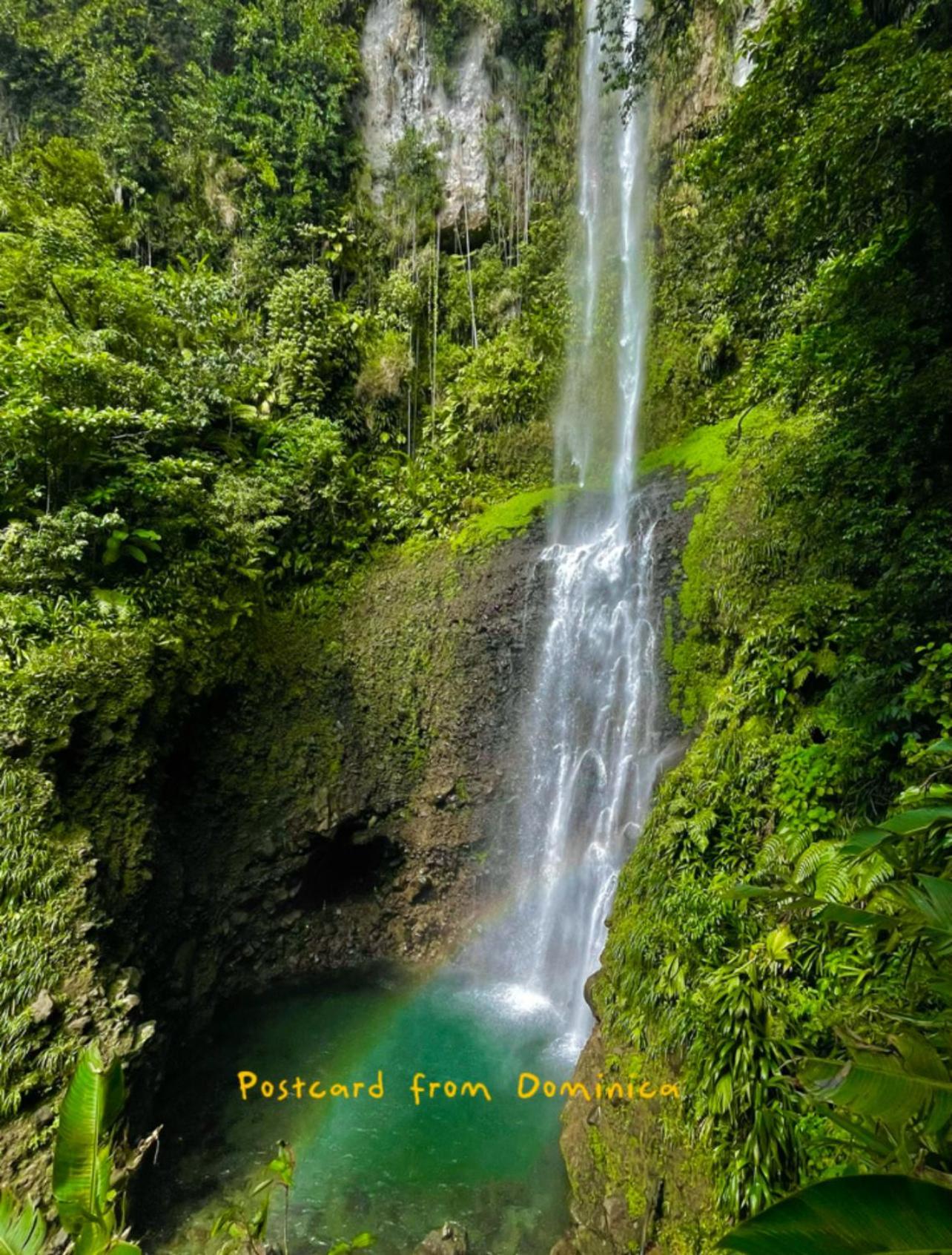 Le Petit Paradis Roseau Extérieur photo